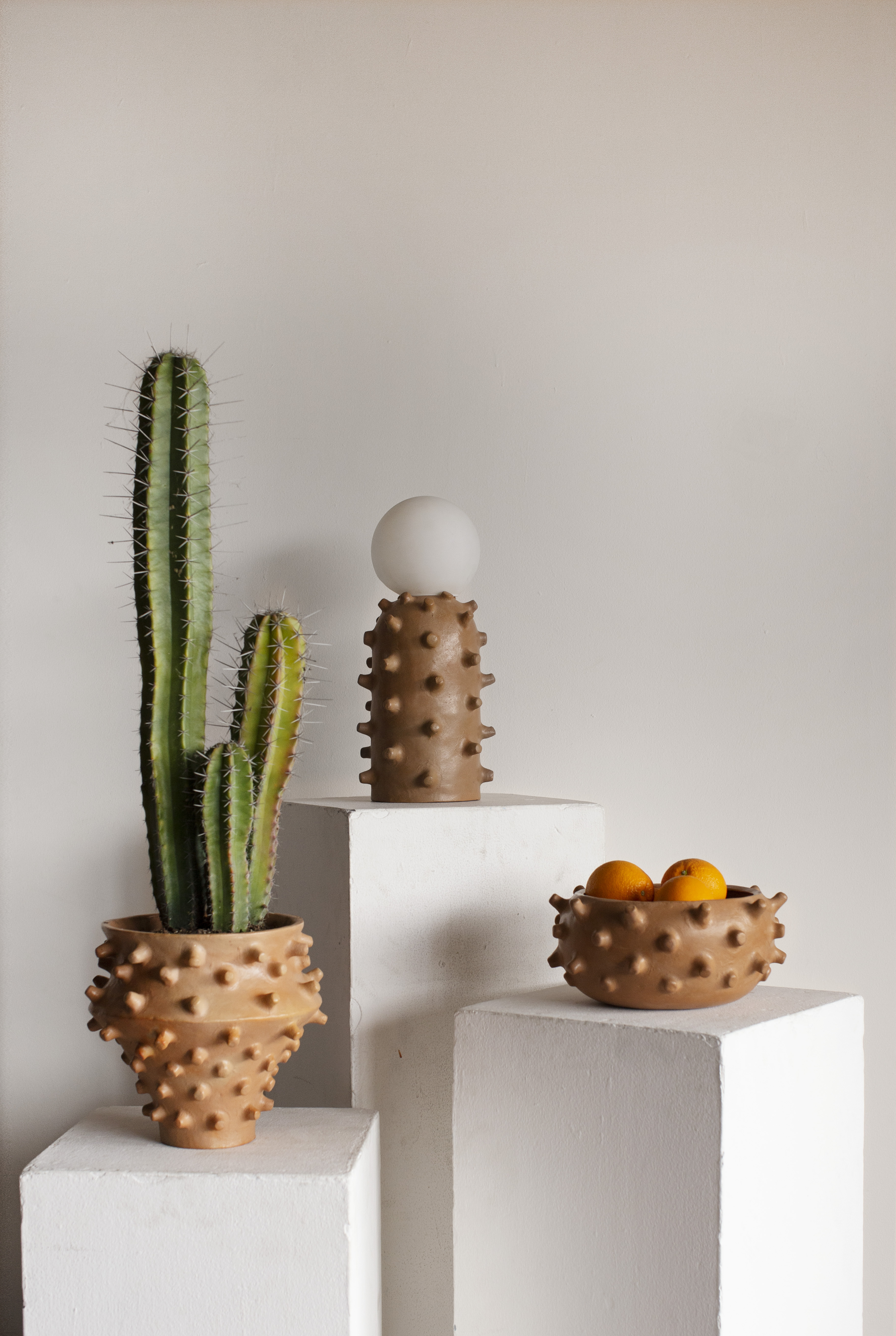 Cactus Gigante